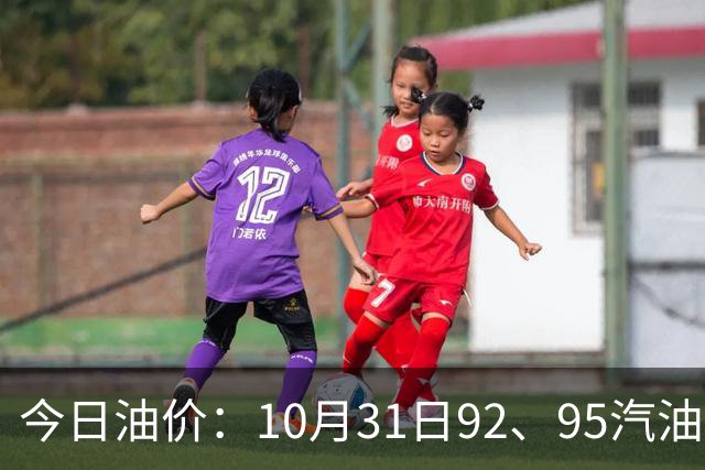 今日油价：10月31日92、95汽油最新零售价一览，11月12日迎下次调整