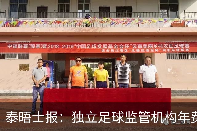 泰晤士报：独立足球监管机构年费2000万镑，英超出大头
