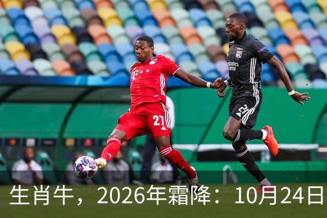 生肖牛，2026年霜降：10月24日-11月8日火热土燥，三思后行！
