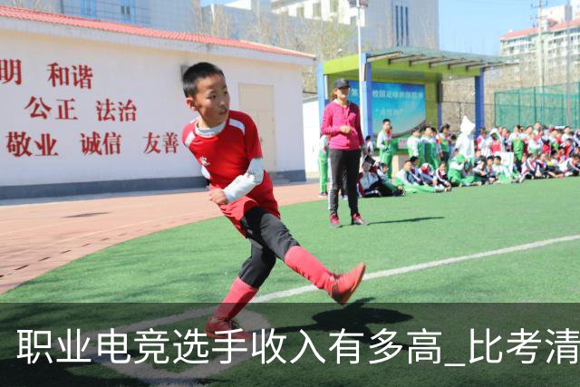职业电竞选手收入有多高 比考清华北大还难