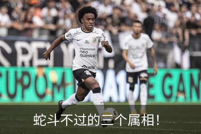 蛇斗不过的三个属相！