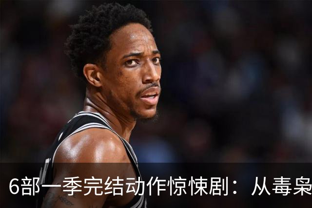 6部一季完结动作惊悚剧：从毒枭运货到卧底复仇，一晚刷完